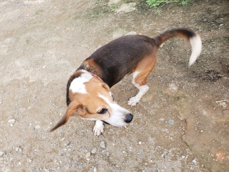 f:id:roukenhome-ann:20191008113438j:plain