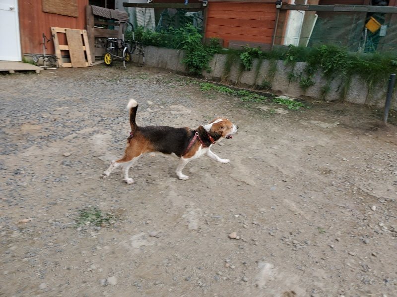 f:id:roukenhome-ann:20191008113445j:plain