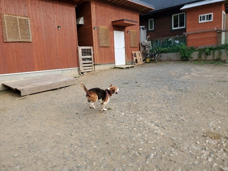 f:id:roukenhome-ann:20191008113452j:plain