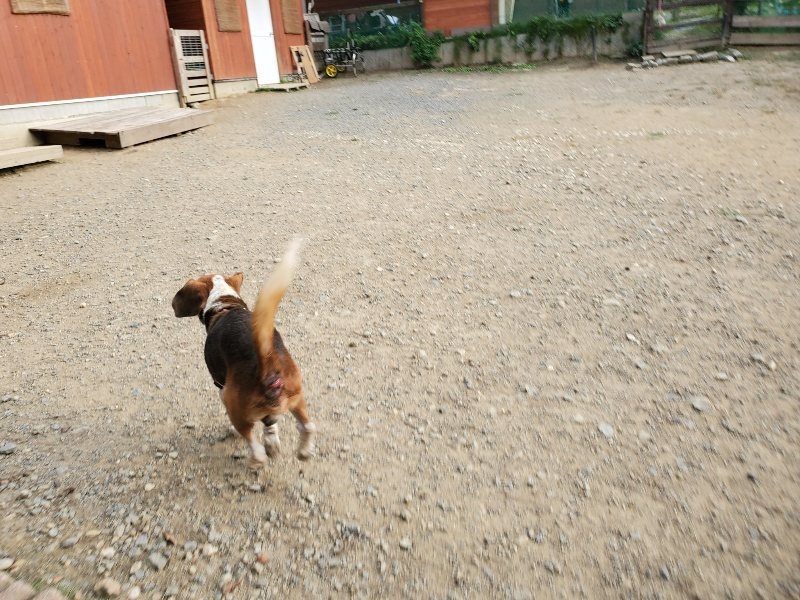 f:id:roukenhome-ann:20191008113504j:plain