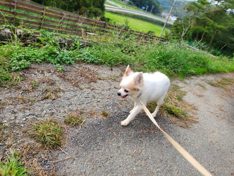 f:id:roukenhome-ann:20191008113526j:plain