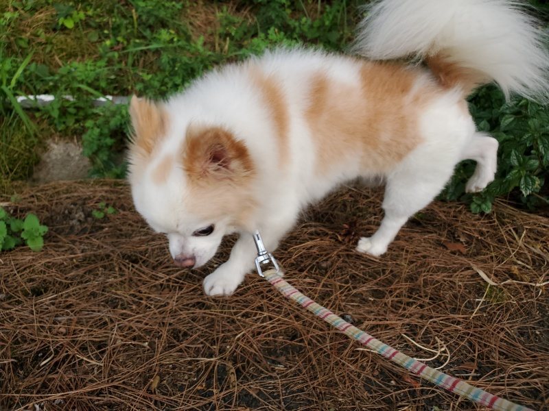 f:id:roukenhome-ann:20191008113609j:plain