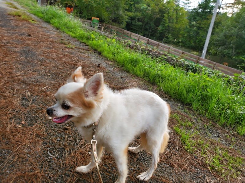 f:id:roukenhome-ann:20191008113639j:plain