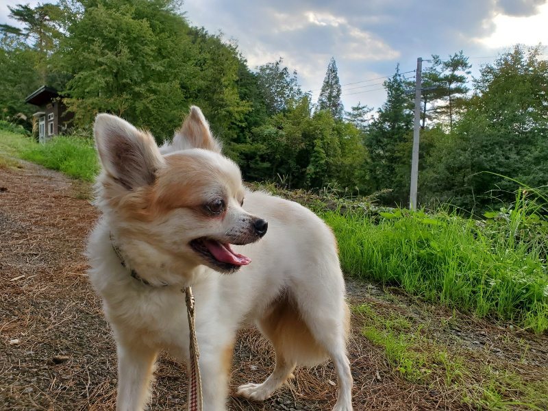 f:id:roukenhome-ann:20191008113647j:plain
