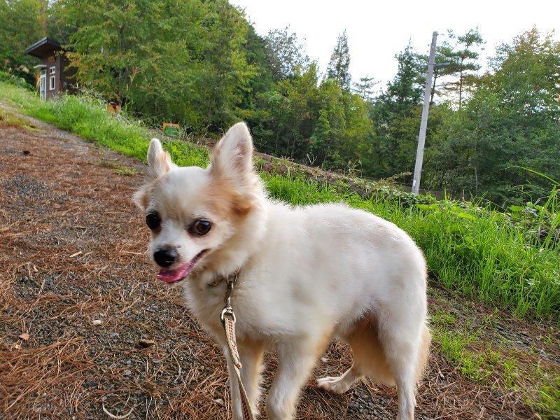 f:id:roukenhome-ann:20191008113653j:plain