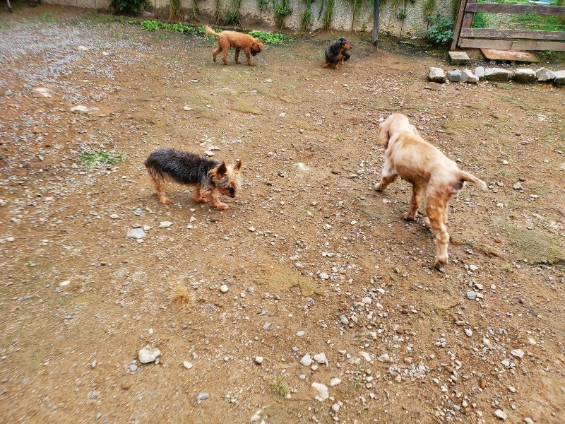 f:id:roukenhome-ann:20191008184542j:plain