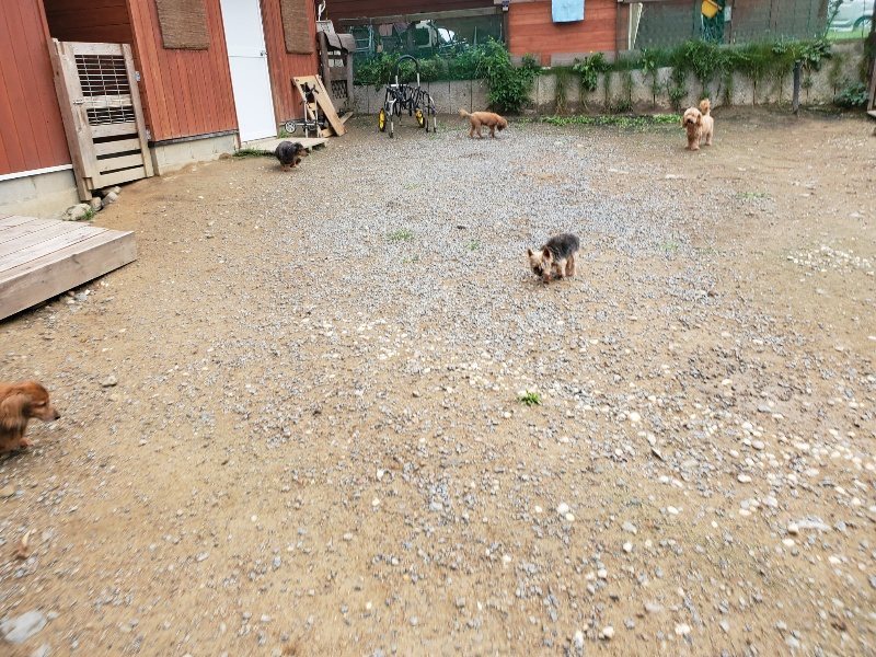 f:id:roukenhome-ann:20191008184630j:plain