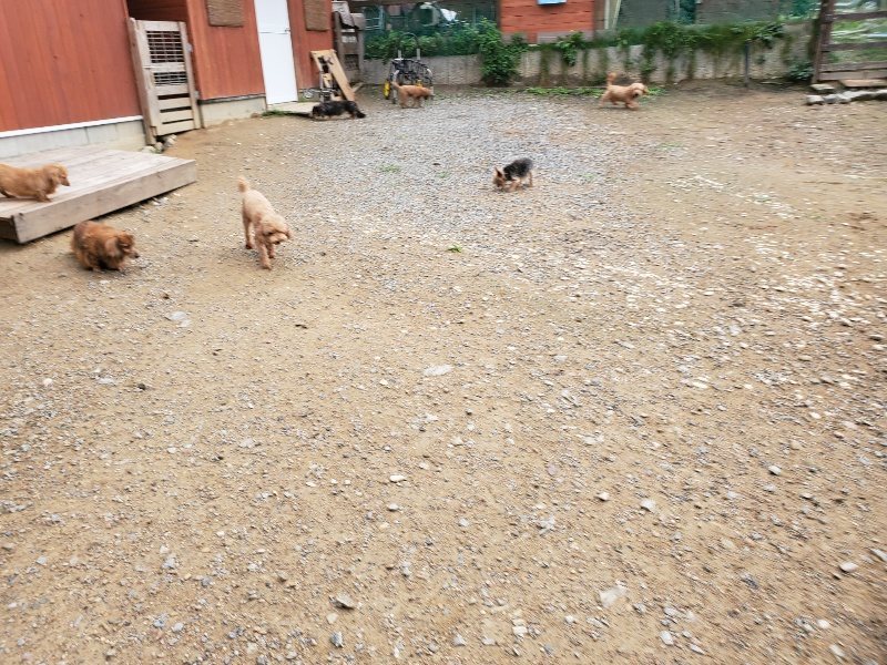 f:id:roukenhome-ann:20191008184701j:plain
