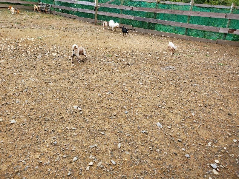 f:id:roukenhome-ann:20191008184711j:plain
