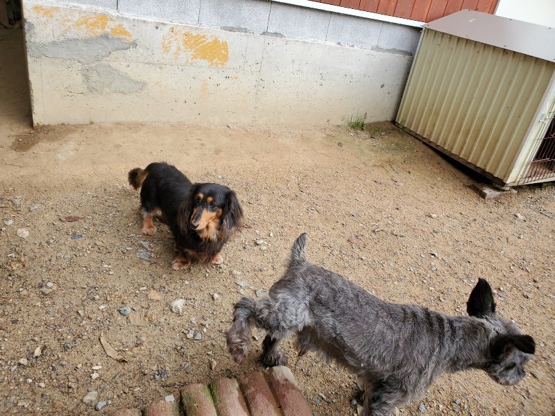 f:id:roukenhome-ann:20191008184757j:plain
