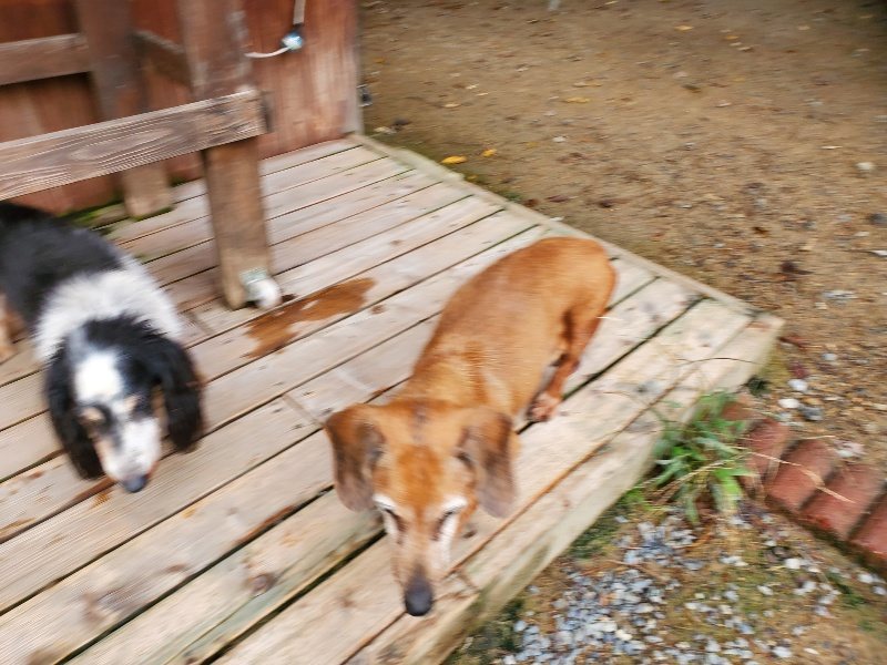 f:id:roukenhome-ann:20191008184804j:plain