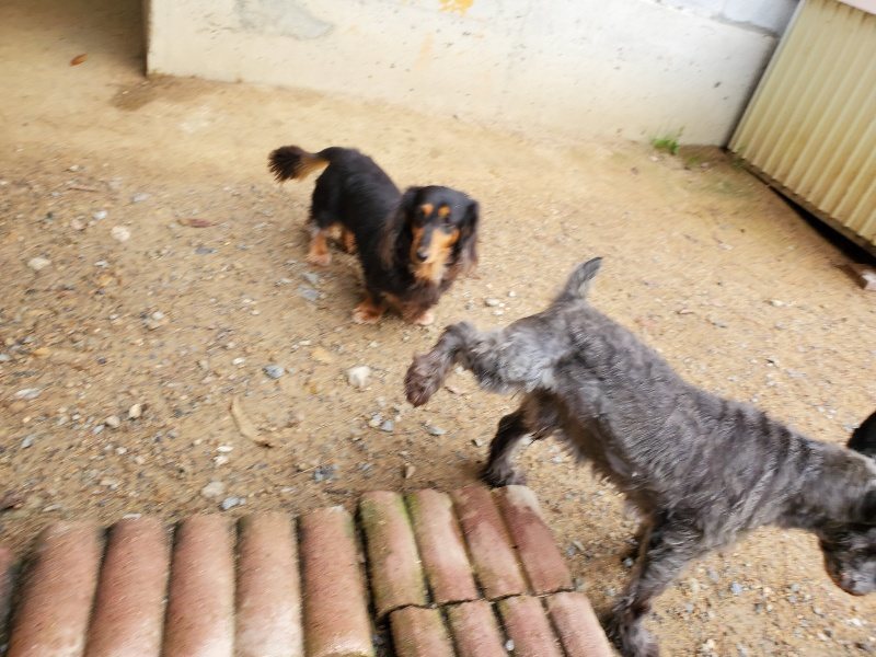 f:id:roukenhome-ann:20191008184821j:plain