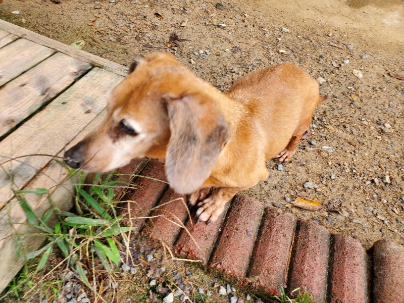 f:id:roukenhome-ann:20191008184833j:plain