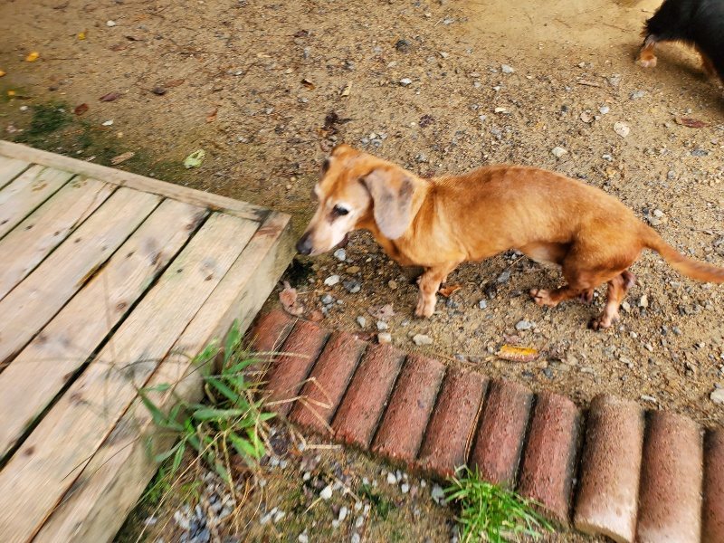 f:id:roukenhome-ann:20191008184840j:plain