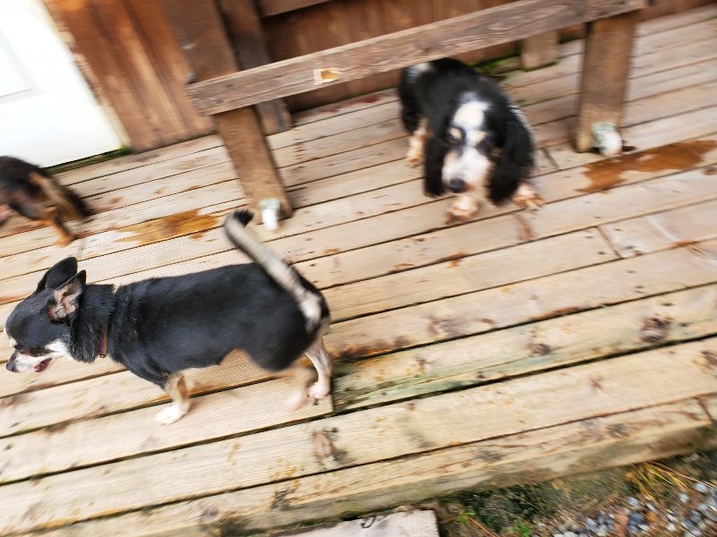 f:id:roukenhome-ann:20191008184847j:plain