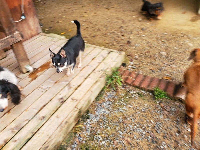 f:id:roukenhome-ann:20191008184907j:plain