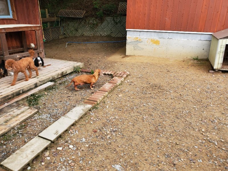 f:id:roukenhome-ann:20191008184917j:plain