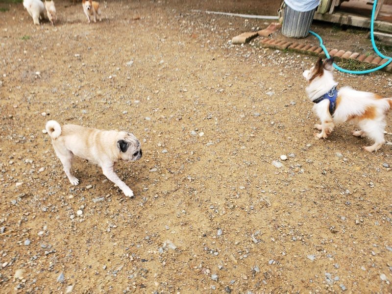 f:id:roukenhome-ann:20191008185001j:plain