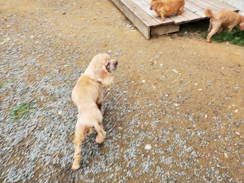 f:id:roukenhome-ann:20191008185042j:plain