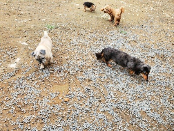 f:id:roukenhome-ann:20191008185101j:plain
