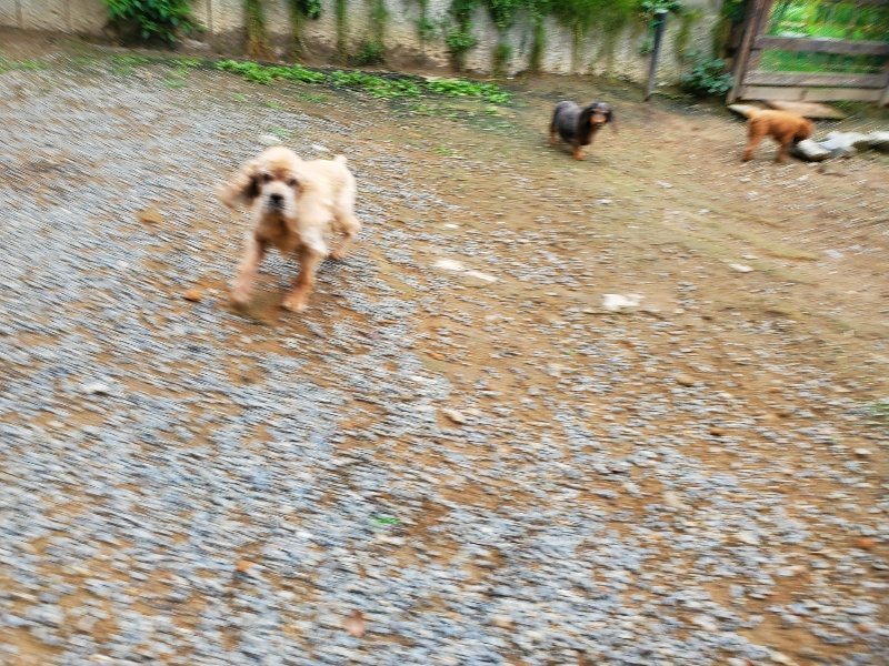 f:id:roukenhome-ann:20191008185109j:plain