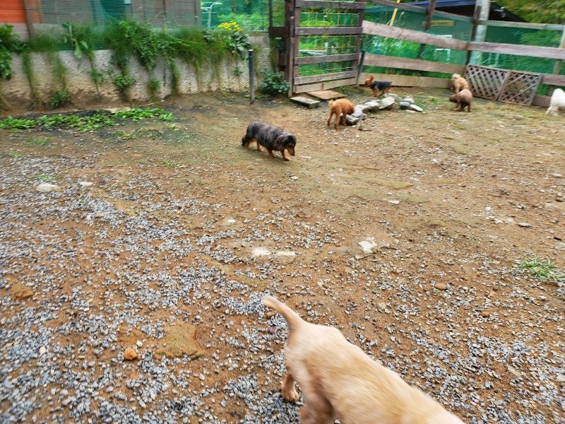 f:id:roukenhome-ann:20191008185120j:plain
