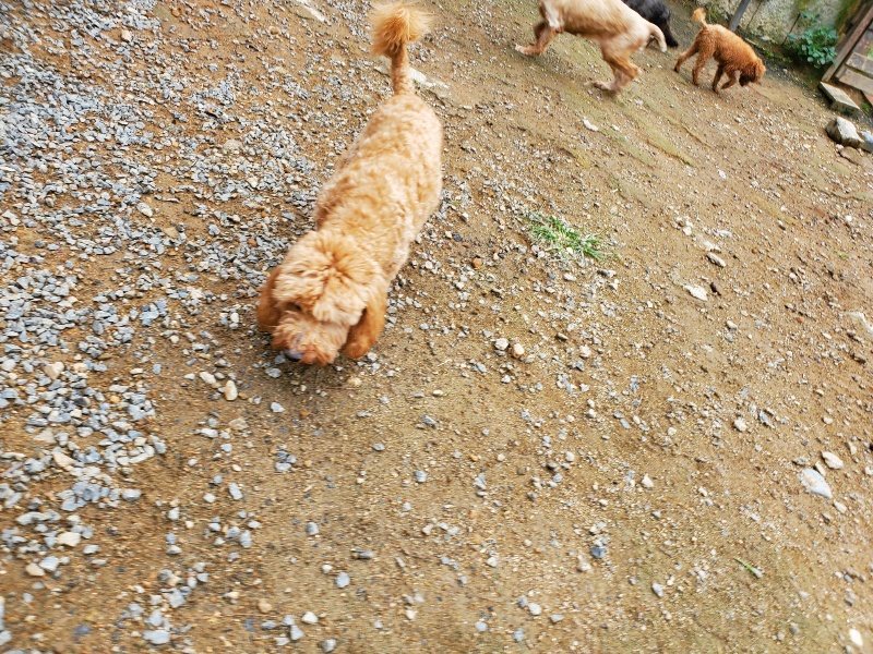 f:id:roukenhome-ann:20191008185135j:plain