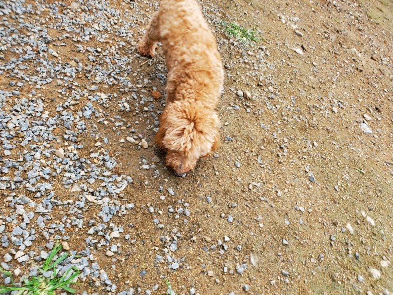 f:id:roukenhome-ann:20191008185146j:plain