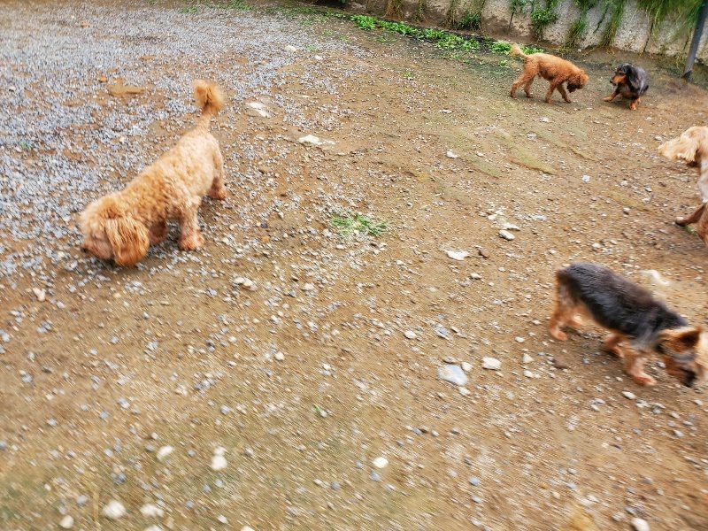 f:id:roukenhome-ann:20191008185158j:plain