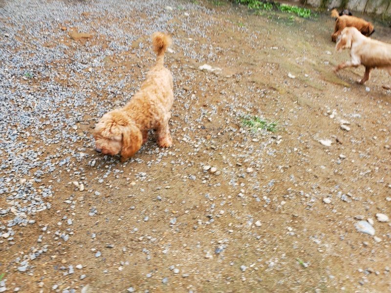 f:id:roukenhome-ann:20191008185208j:plain
