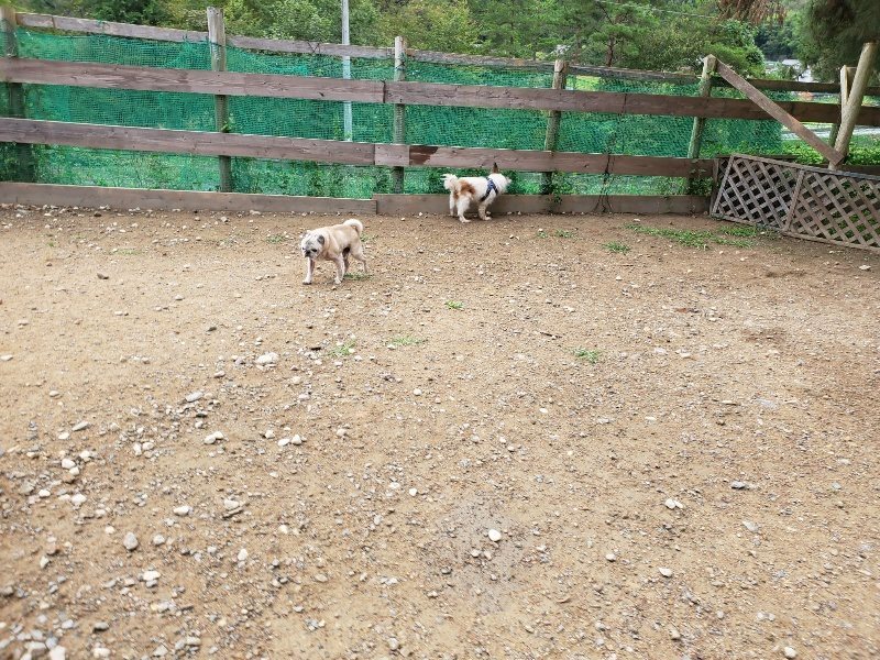 f:id:roukenhome-ann:20191008190402j:plain