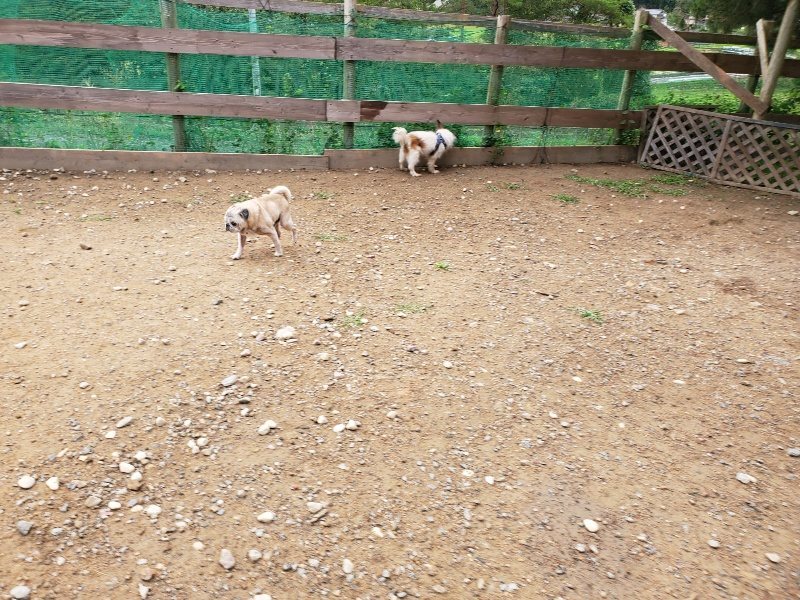 f:id:roukenhome-ann:20191008190505j:plain