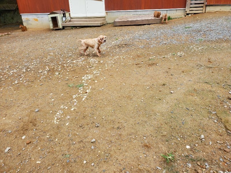 f:id:roukenhome-ann:20191008190540j:plain