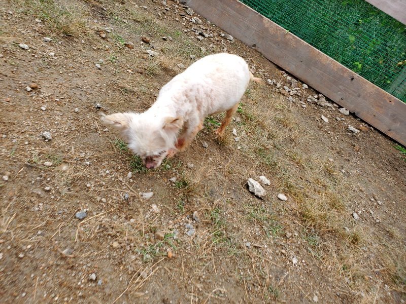 f:id:roukenhome-ann:20191008190626j:plain