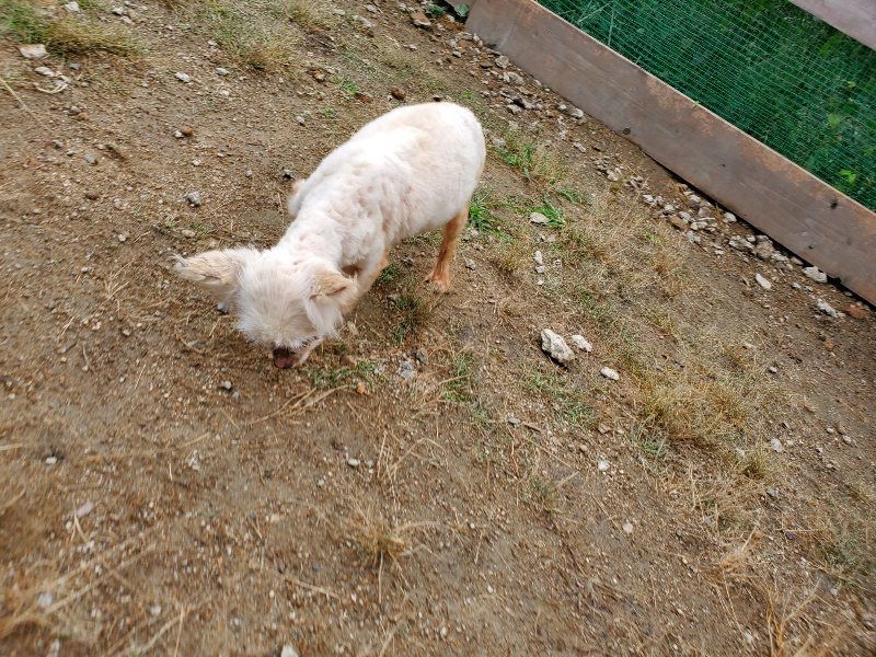 f:id:roukenhome-ann:20191008190652j:plain