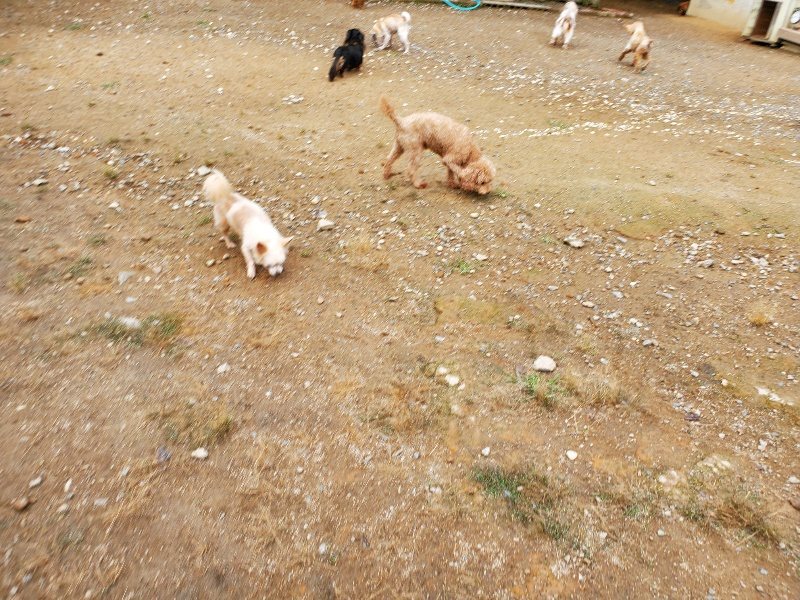f:id:roukenhome-ann:20191008191014j:plain