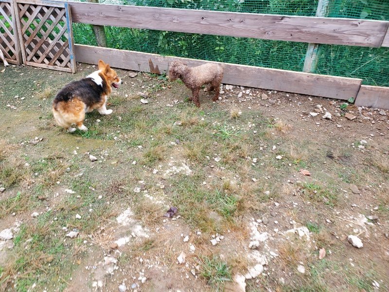 f:id:roukenhome-ann:20191008191344j:plain