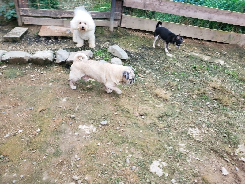 f:id:roukenhome-ann:20191008191353j:plain