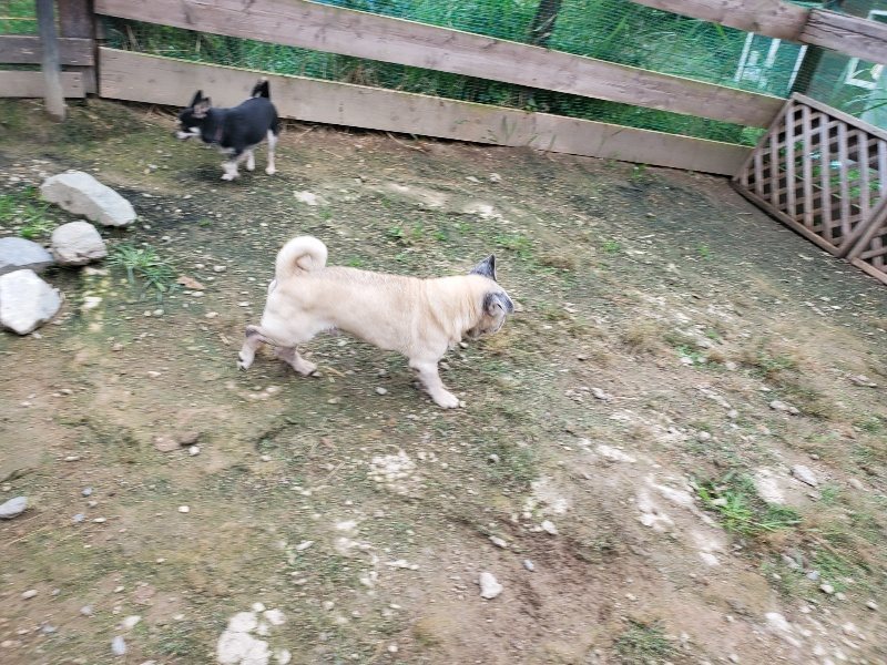 f:id:roukenhome-ann:20191008191401j:plain