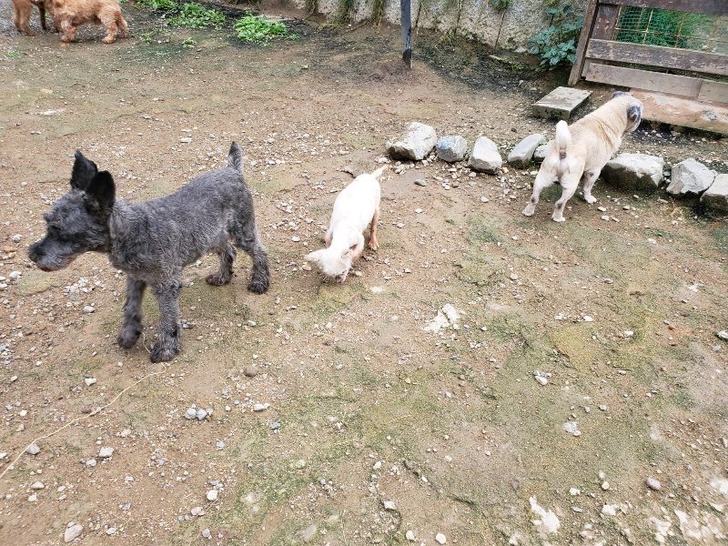 f:id:roukenhome-ann:20191008191412j:plain
