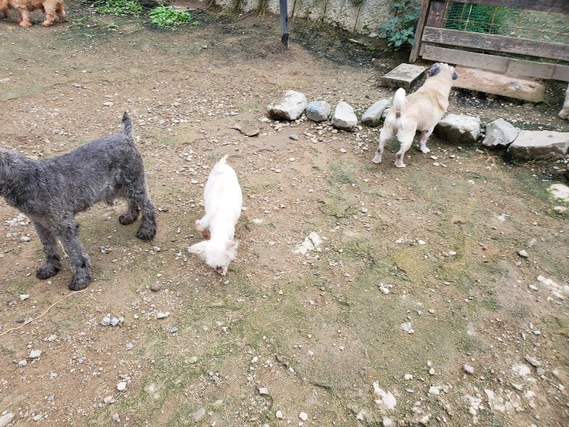 f:id:roukenhome-ann:20191008191419j:plain