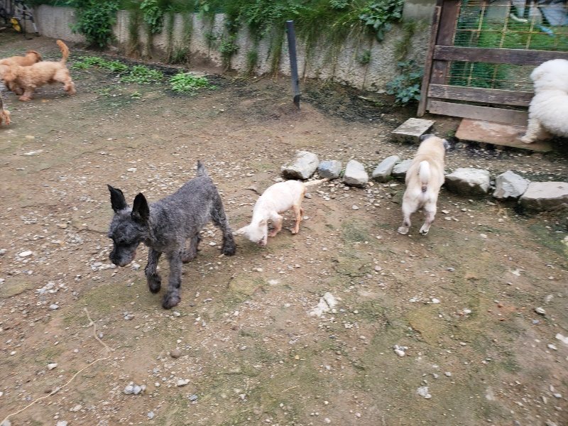 f:id:roukenhome-ann:20191008191427j:plain