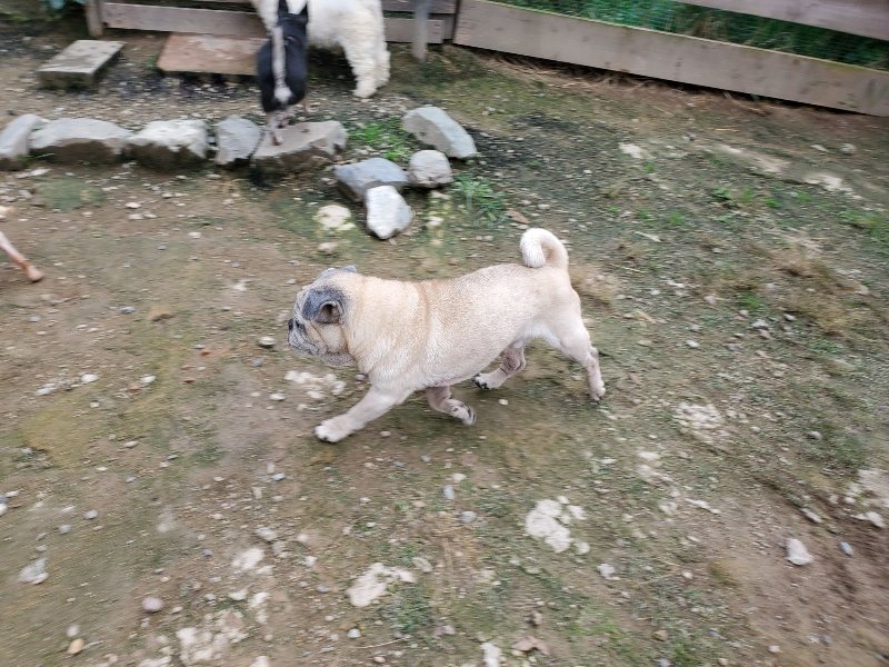 f:id:roukenhome-ann:20191008191434j:plain