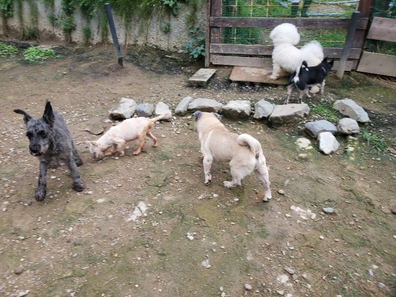 f:id:roukenhome-ann:20191008191448j:plain