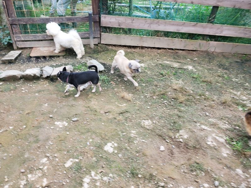 f:id:roukenhome-ann:20191008191457j:plain