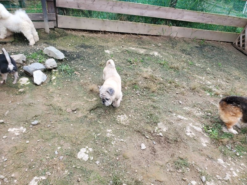 f:id:roukenhome-ann:20191008191507j:plain