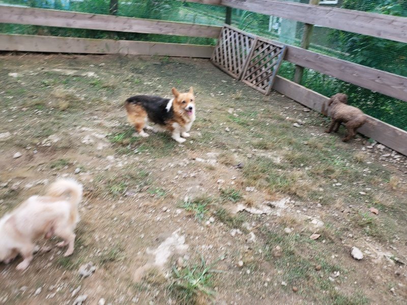 f:id:roukenhome-ann:20191008191517j:plain