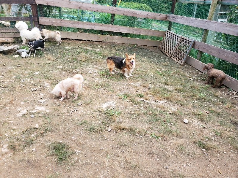 f:id:roukenhome-ann:20191008191524j:plain