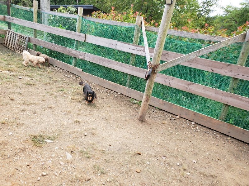 f:id:roukenhome-ann:20191008191549j:plain