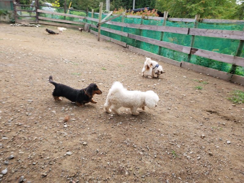 f:id:roukenhome-ann:20191008192157j:plain
